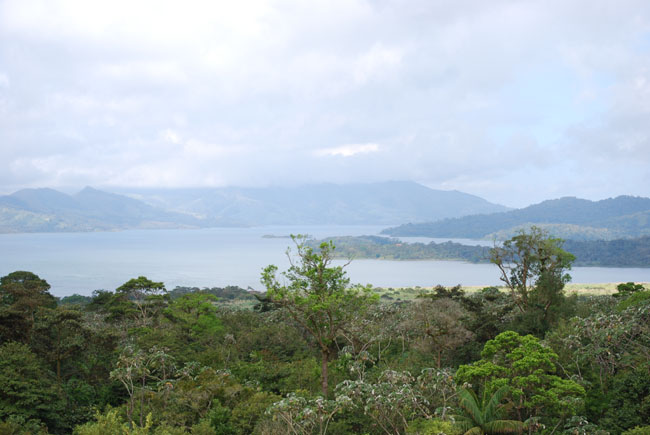 Costa