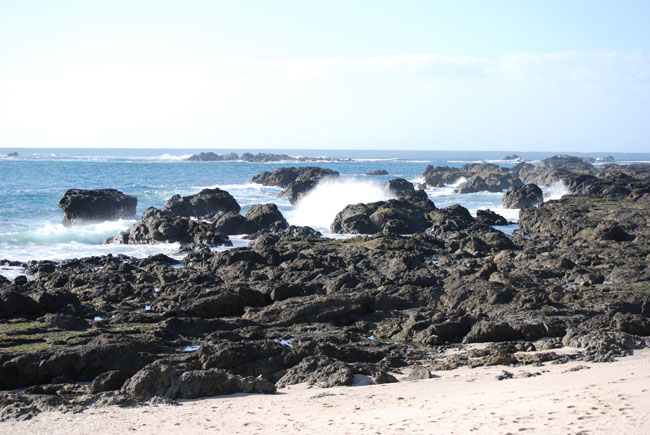 Costa
