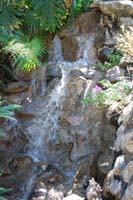 Costa